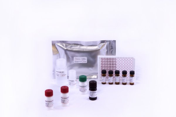 Bio-Shield Aflatoxin B1(ES) - Görsel 2